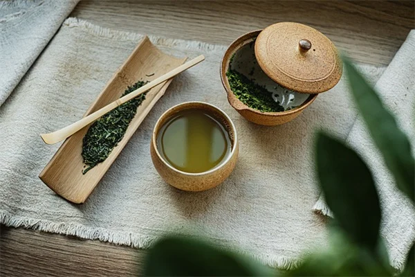 トマトの苗が黄色い原因と今すぐできる直し方