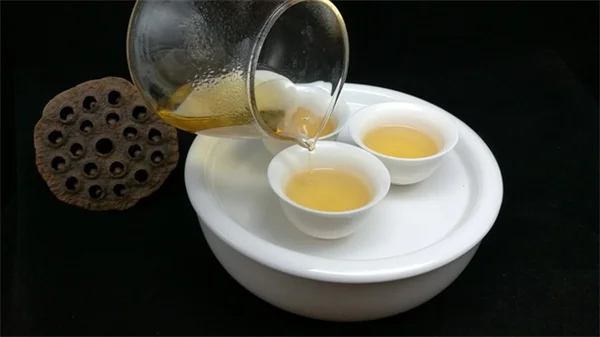 自然なクリスマスデコレーションは生きた果樹で簡単にできる実践方法